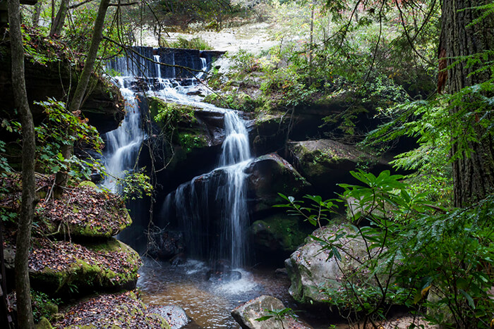 Dismals Canyon