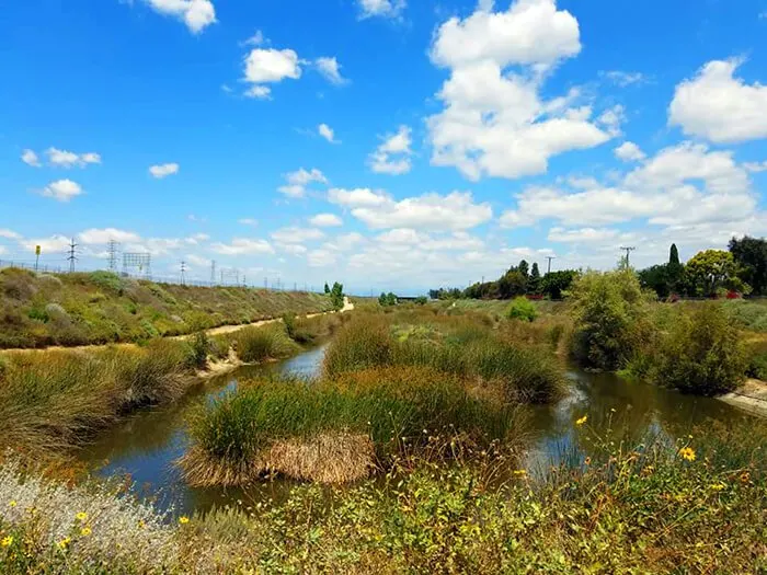 Dominguez Gap Wetlands