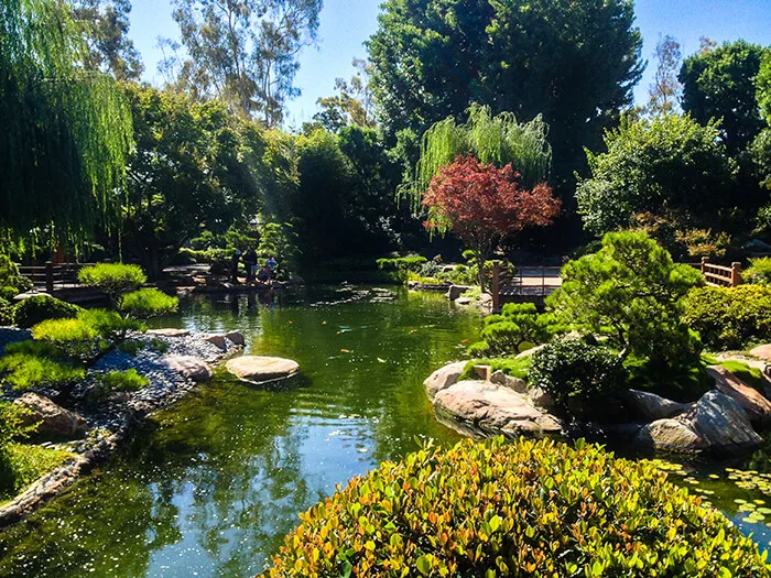 Earl Burns Miller Japanese Garden