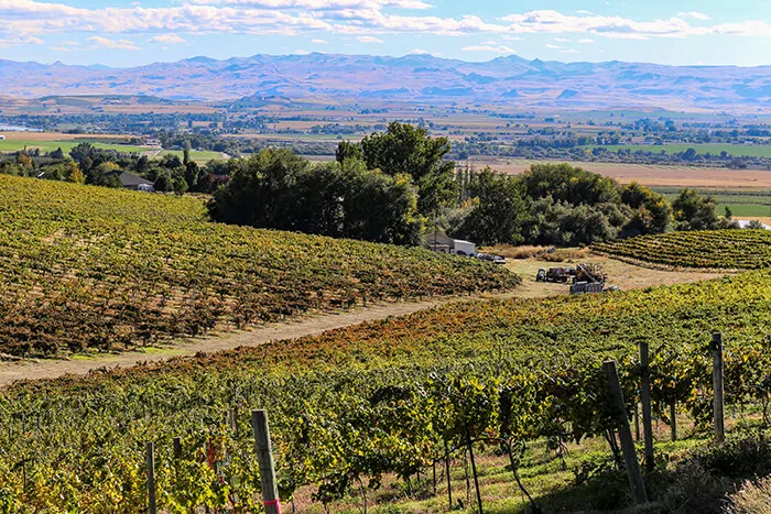 Snake River Valley