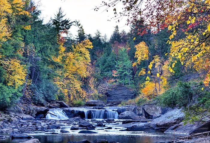 Swallow Falls State Park