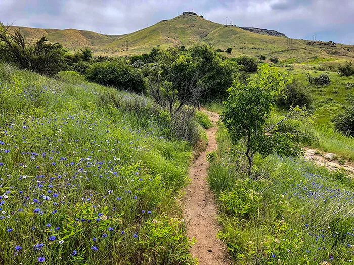 Table Rock Trail