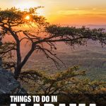 fun things to do in Alabama