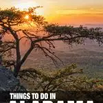 fun things to do in Alabama