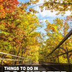 things to do in Rochester, NY