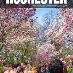 things to do in Rochester, NY