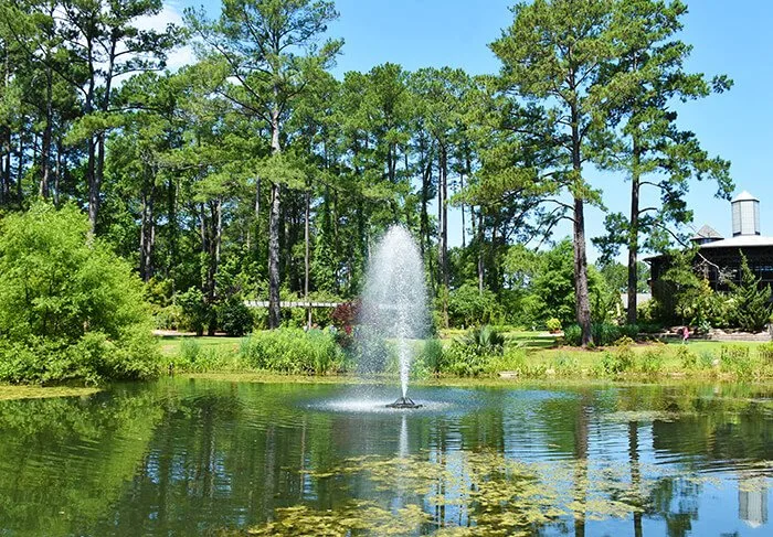 Cape Fear Botanical Garden