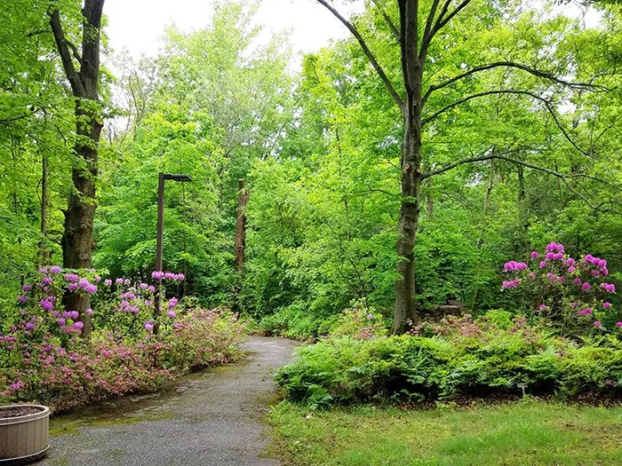 Helen Avalynne Tawes Garden