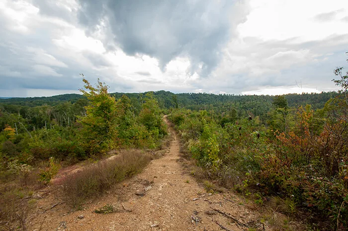 Knobstone Trail