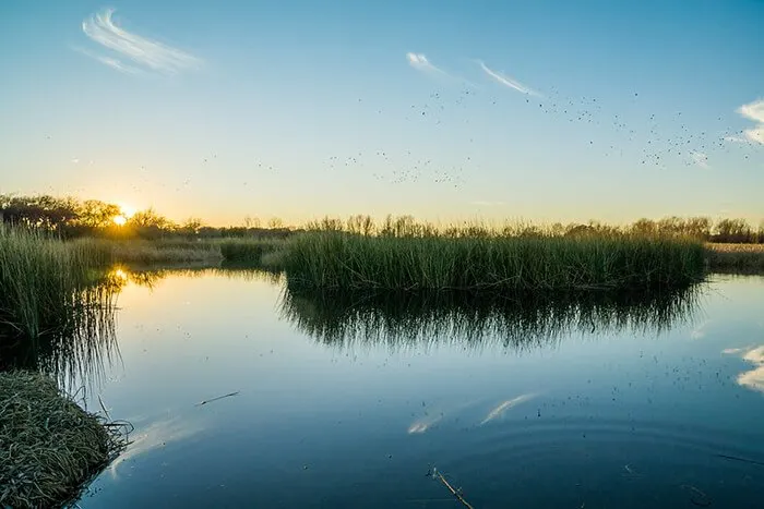 Lake Waco Wetlands