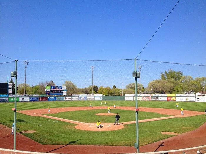 Melaleuca Field