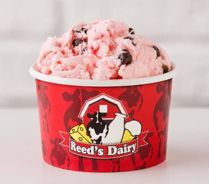 30 Best & Fun Things To Do In Idaho Falls (Idaho)