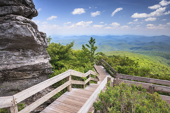 Rough Ridge Trail