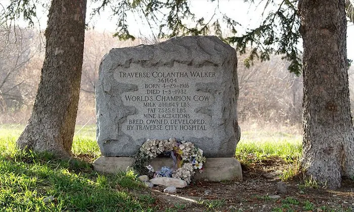 Traverse Colantha Walker's Grave