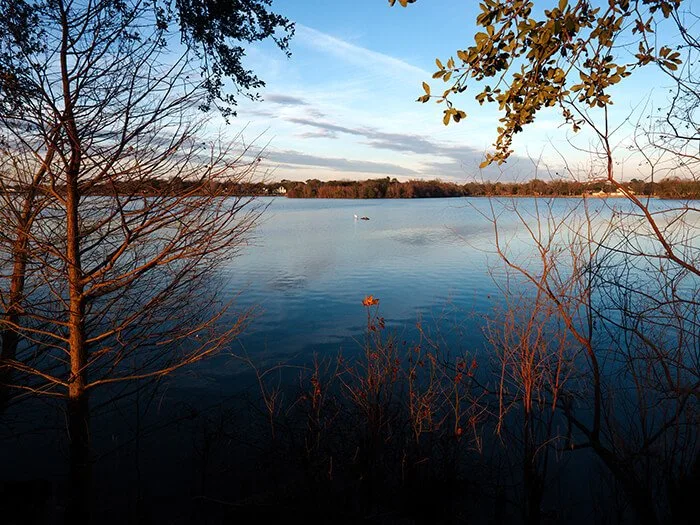 University Lake