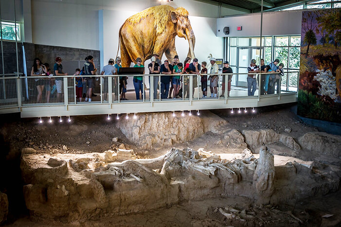 Waco Mammoth National Monument