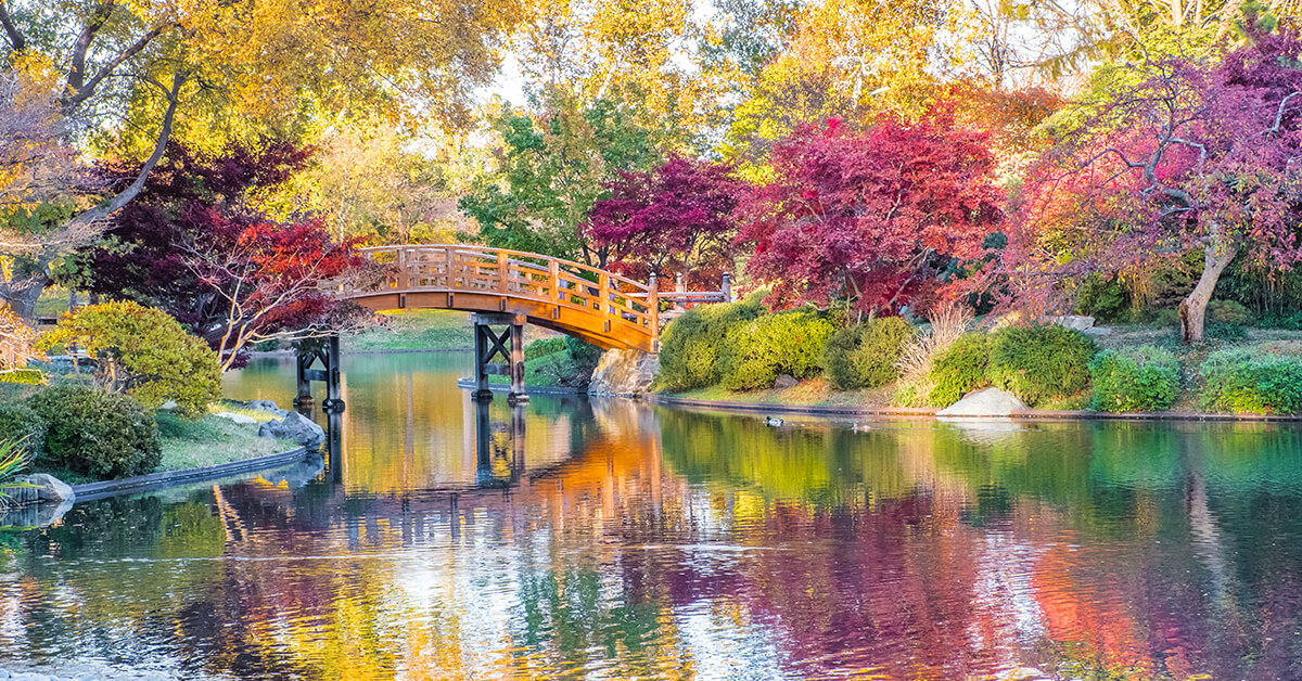41 Fun Things To Do Places To Visit In Missouri Attractions 