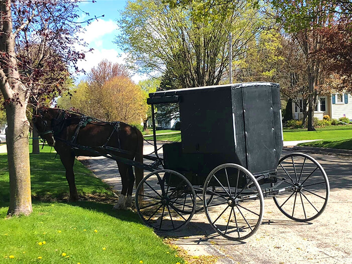 Amish Tours of Harmony