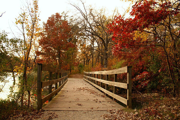 Chester Woods Park