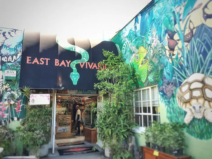 East Bay Vivarium