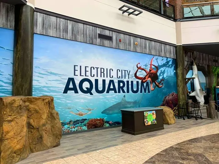 Electric City Aquarium & Reptile Den