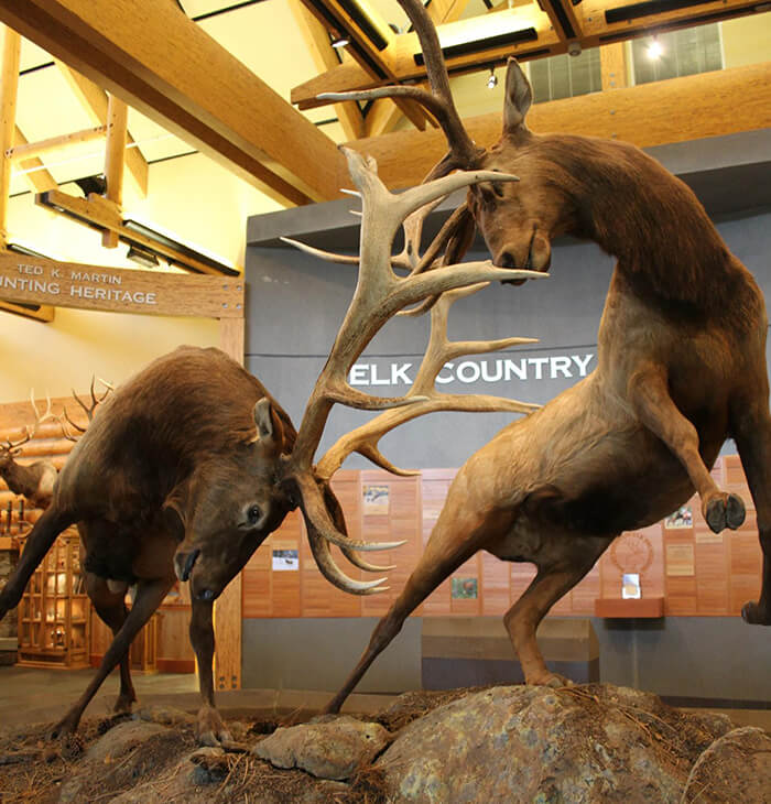 Elk Country Visitor Center