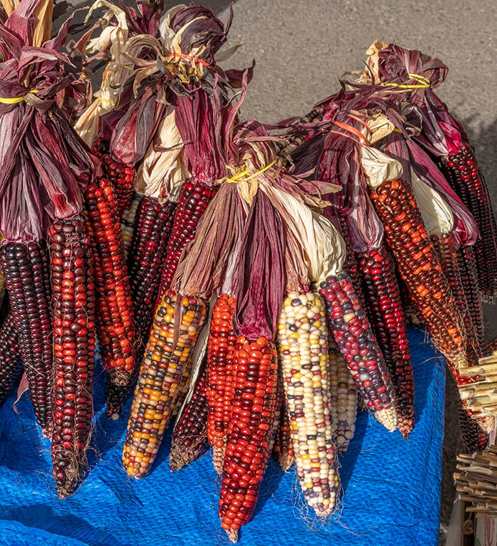 Farmers' Markets