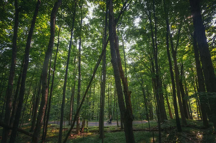 Kalamazoo River Valley Trail