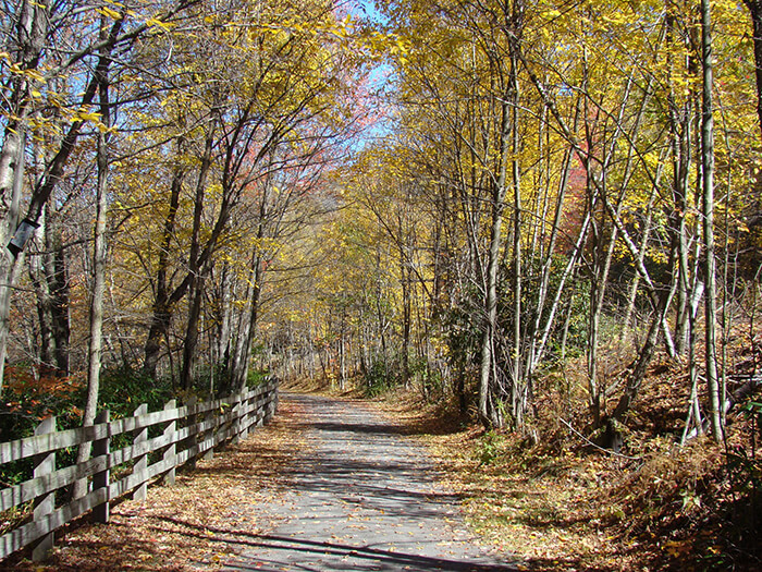 Lackawanna River Heritage Trail