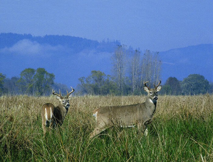 Lewis and Clark National Wildlife Refuge