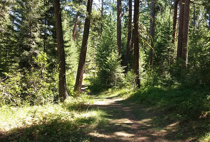 Pattee Canyon Recreation Area