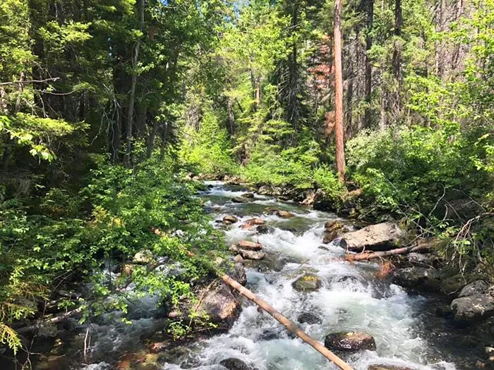 Rattlesnake National Recreation Area