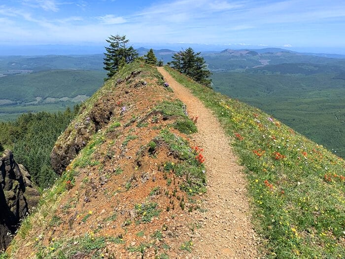 Saddle Mountain Trail