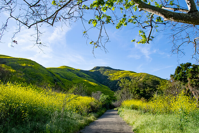 Solstice Canyon