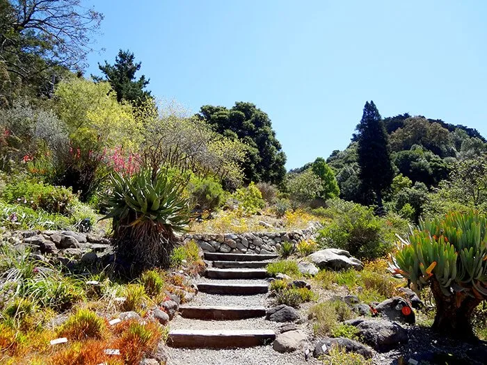 UC Botanical Garden