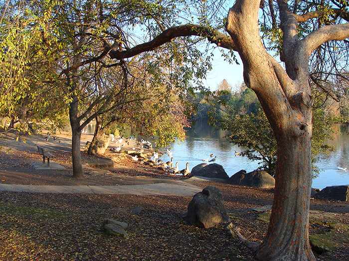 Woodward Regional Park