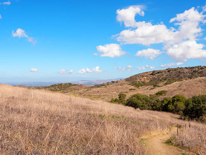 Bommer Canyon