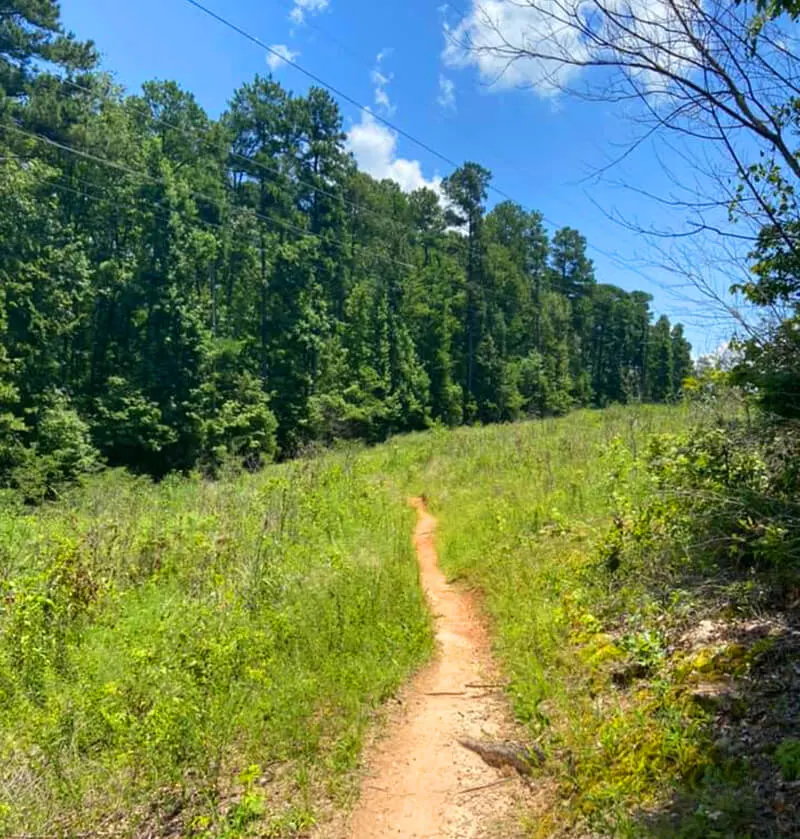 Forks Area Trail System