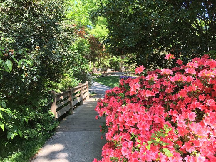 26 Best & Fun Things To Do In Greensboro (NC) Attractions & Activities