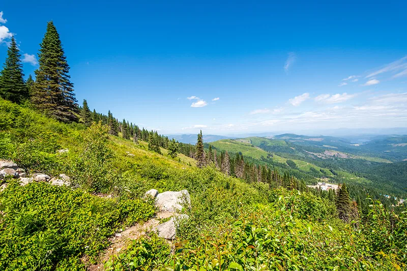 Mount Spokane State Park