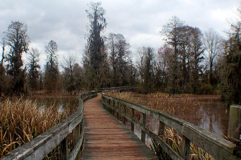 Phinizy Swamp Nature Park