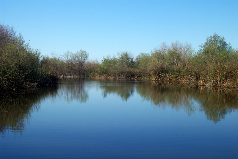 San Joaquin Wildlife Sanctuary