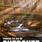 things to do in Cherokee, NC