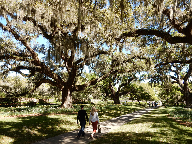 Brookgreen Gardens