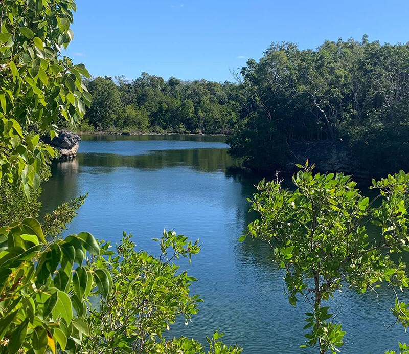 Dagny Johnson Key Largo Hammock Botanical State Park