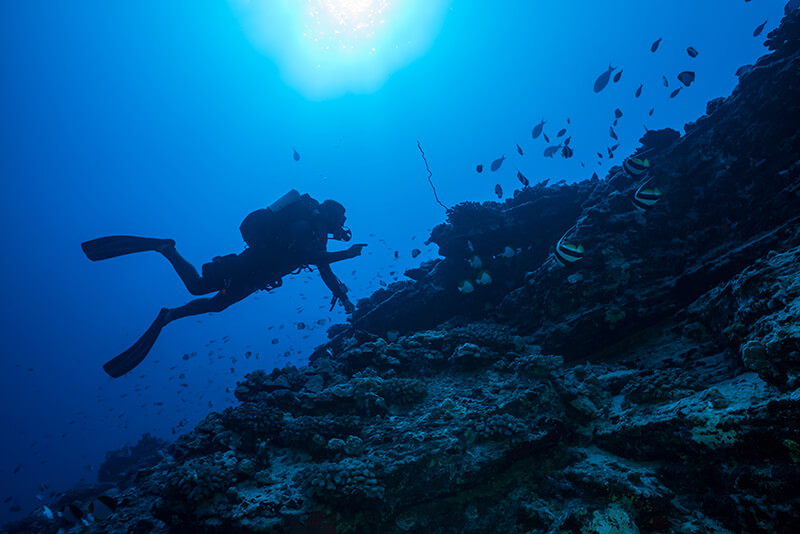 Diving and Snorkeling