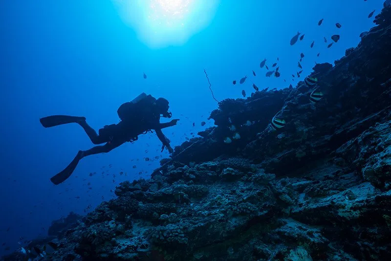 Diving and Snorkeling