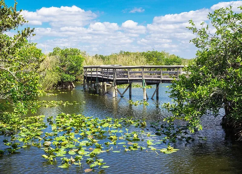 Everglades National Park