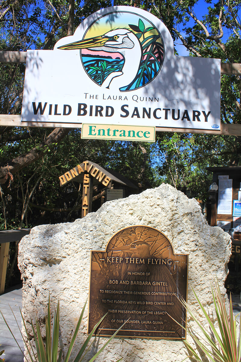 Florida Keys Wild Bird Rehabilitation Center