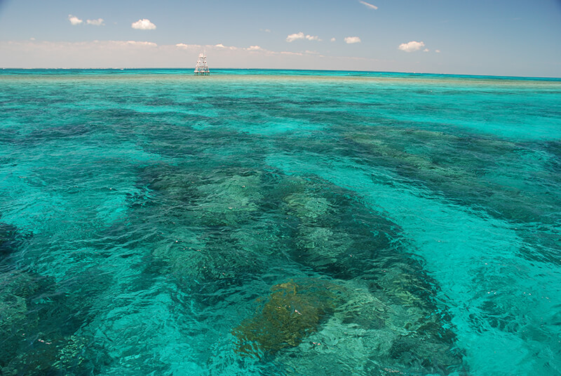 John Pennekamp Coral Reef State Park